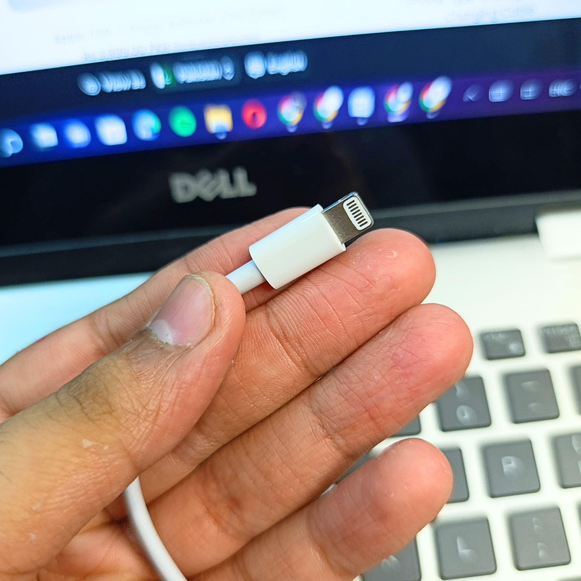iPhone USB-C to Lightning Cable